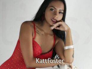 Kattfoster