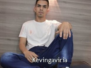 Kevingaviria