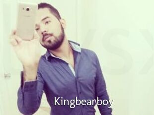 Kingbearboy