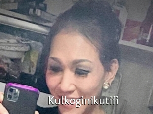 Kulkoginikutifi