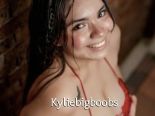 Kyliebigboobs
