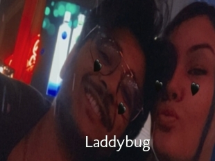 Laddybug