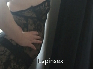 Lapinsex