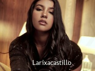 Larixacastillo