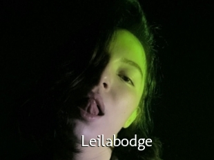 Leilabodge