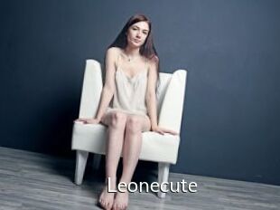 Leonecute
