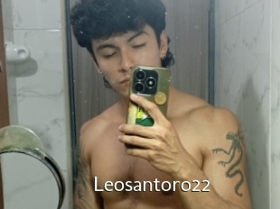 Leosantoro22
