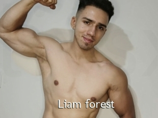 Liam_forest