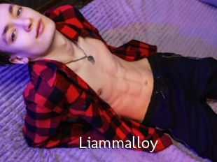 Liammalloy