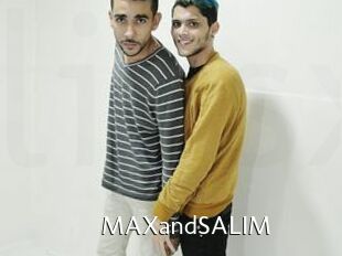 MAXandSALIM