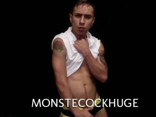 MONSTECOCKHUGE