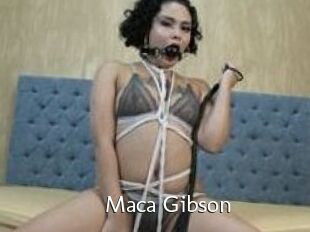 Maca_Gibson