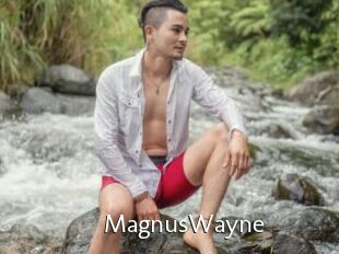 MagnusWayne