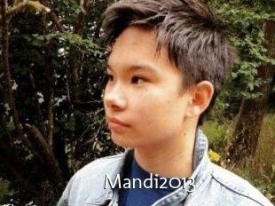 Mandi2013