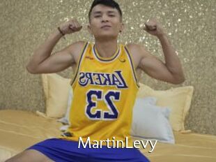 MartinLevy
