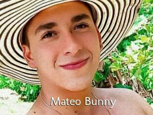 Mateo_Bunny