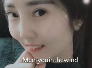 Meetyouinthewind