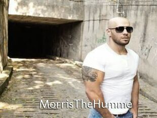 MorrisTheHumme