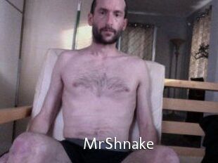 MrShnake