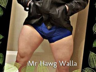 Mr_Hawg_Walla