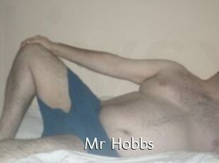 Mr_Hobbs