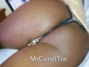 MsCamelToe