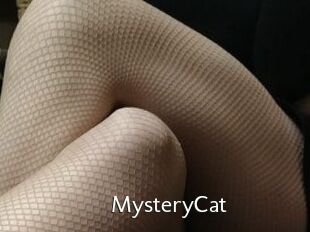 Mystery_Cat