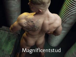 Magnificentstud