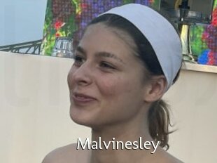 Malvinesley