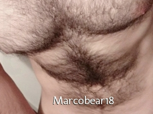 Marcobear18