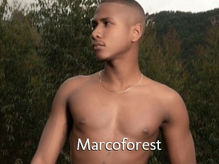 Marcoforest