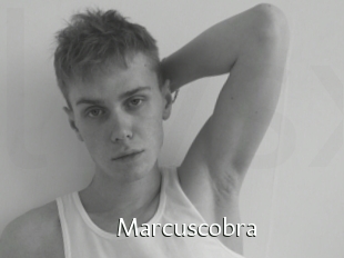 Marcuscobra