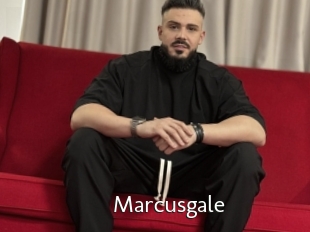 Marcusgale