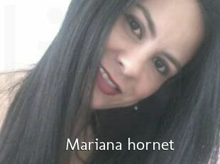 Mariana_hornet