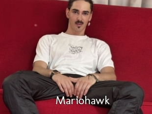 Mariohawk