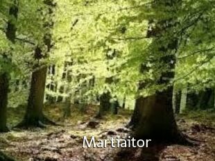 Martiaitor