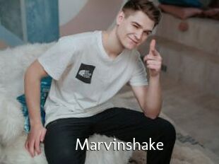 Marvinshake