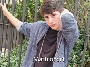 Mattrobert