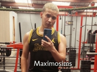 Maximosims