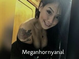 Meganhornyanal