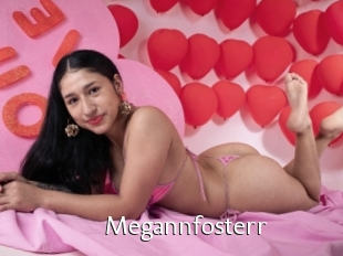 Megannfosterr