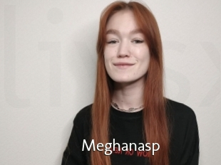Meghanasp