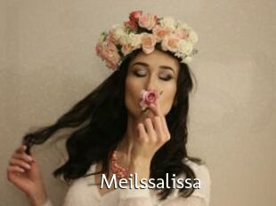 Meilssalissa