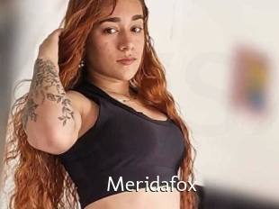 Meridafox