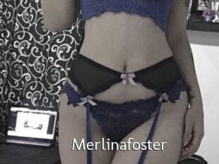 Merlinafoster