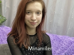 Minamiler