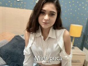 Mini_puca
