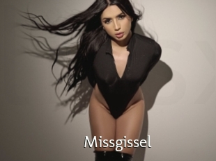 Missgissel