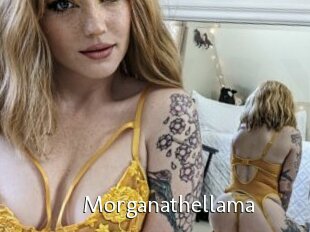 Morganathellama