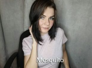 Mosquito